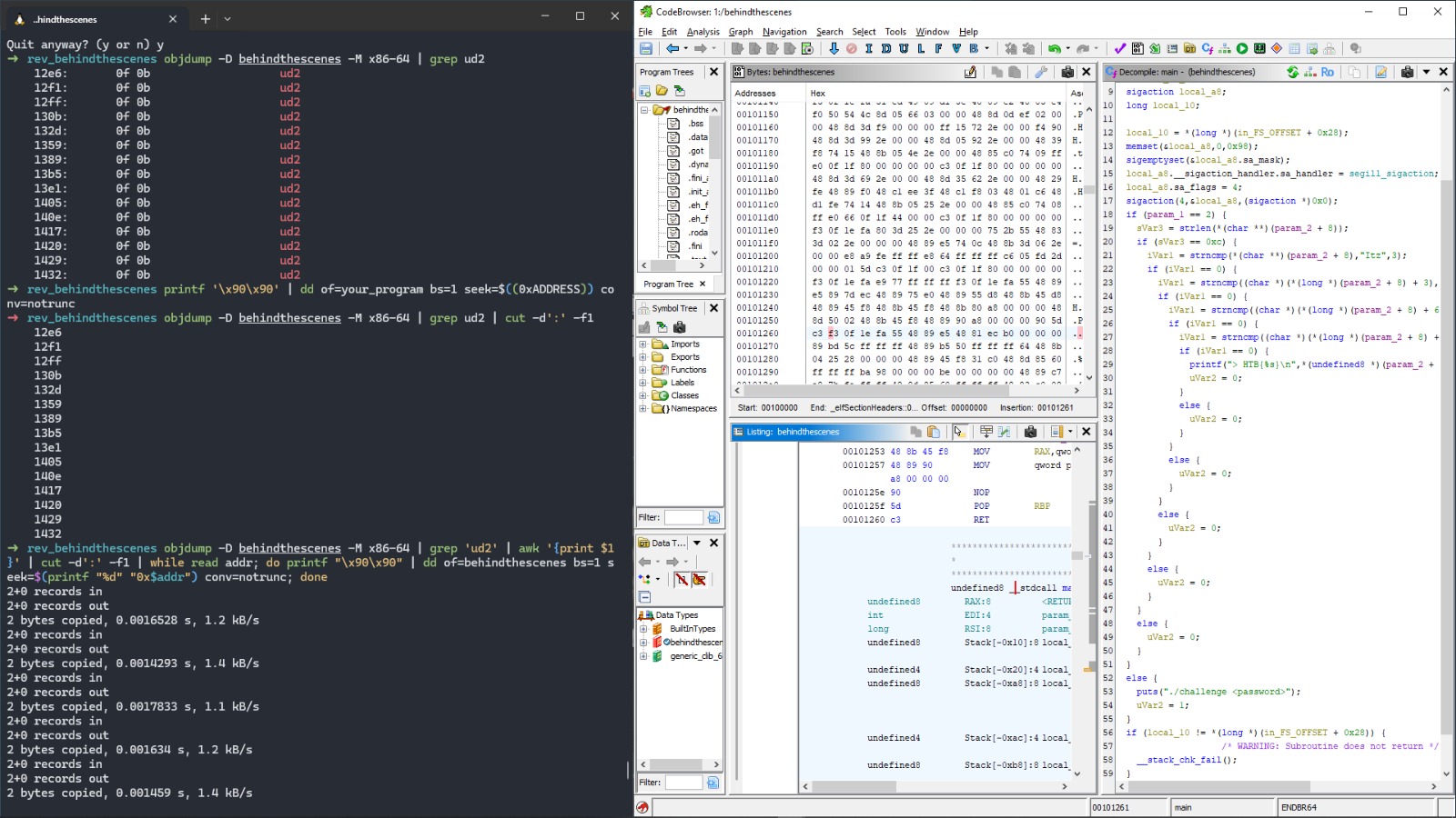 Ghidra Decompiler View